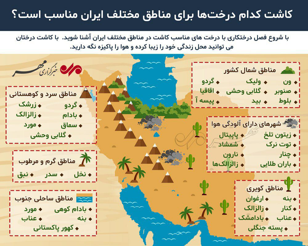  کاشت کدام درخت‌ها برای مناطق مختلف ایران مناسب است؟  