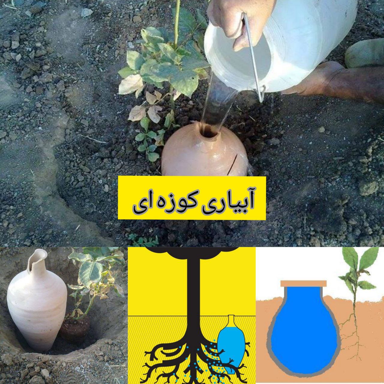 آبیاری کوزه ای یکی از ابتکارات ایرانیان برای سیراب کردن گیاهان در مناطق خشک و نیمه خشک بوده است. در 